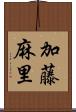 加藤麻里 Scroll