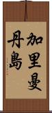 加里曼丹島 Scroll