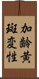 加齢黄斑変性 Scroll