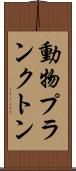 動物プランクトン Scroll