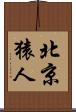 北京猿人 Scroll