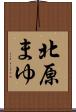 北原まゆ Scroll