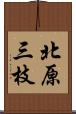 北原三枝 Scroll