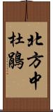 北方中杜鵑 Scroll