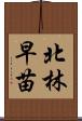 北林早苗 Scroll