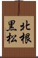 北根黒松 Scroll