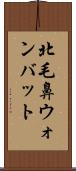 北毛鼻ウォンバット Scroll