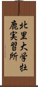 北里大学牡鹿実習所 Scroll