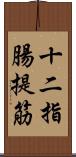 十二指腸提筋 Scroll