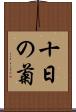 十日の菊 Scroll