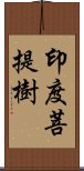 印度菩提樹 Scroll