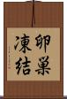 卵巣凍結 Scroll