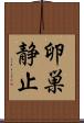 卵巣静止 Scroll