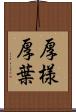 厚様 Scroll