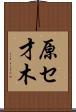 原セ才木 Scroll