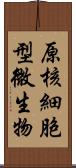 原核細胞型微生物 Scroll