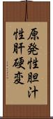 原発性胆汁性肝硬変 Scroll