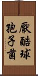 厭酷球孢子菌 Scroll