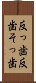 反っ歯 Scroll