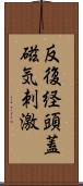 反復経頭蓋磁気刺激 Scroll