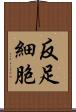 反足細胞 Scroll
