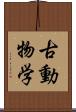古動物学 Scroll