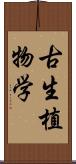 古生植物学 Scroll