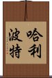 哈利·波特 Scroll