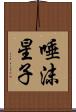 唾沫星子 Scroll
