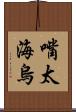 嘴太海烏 Scroll