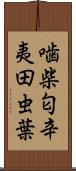 噛柴;匂辛夷;田虫葉 Scroll