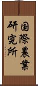 国際農業研究所 Scroll