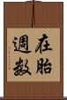 在胎週数 Scroll