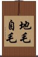 地毛 Scroll