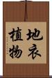 地衣植物 Scroll