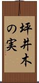 坪井木の実 Scroll