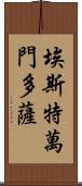 Estevan Mendoza Scroll