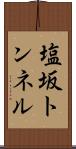 塩坂トンネル Scroll