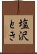 塩沢とき Scroll
