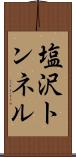 塩沢トンネル Scroll