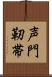 声門靭帯 Scroll