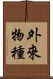 外來物種 Scroll