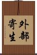 外部寄生 Scroll