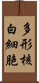 多形核白細胞 Scroll