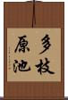多枝原池 Scroll