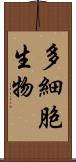 多細胞生物 Scroll