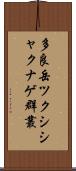 多良岳ツクシシャクナゲ群叢 Scroll