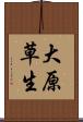 大原草生 Scroll