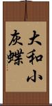 大和小灰蝶 Scroll