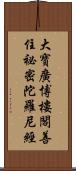 大寶廣博樓閣善住祕密陀羅尼經 Scroll